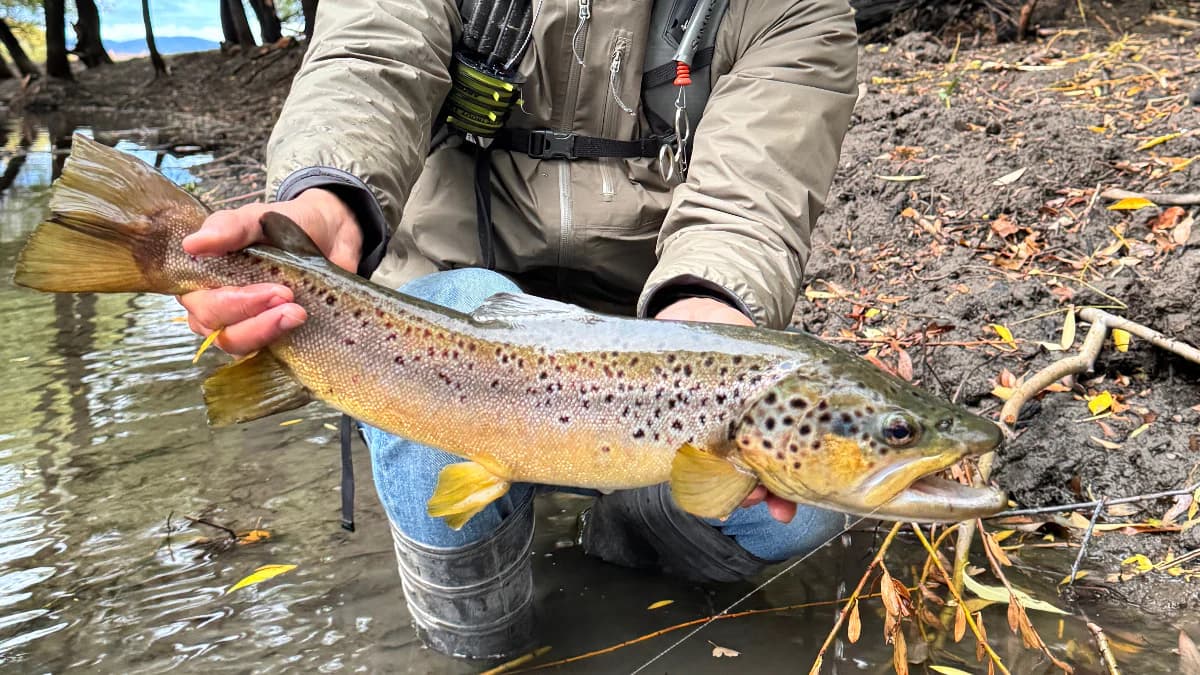 Arroyo Pescado lodge photo