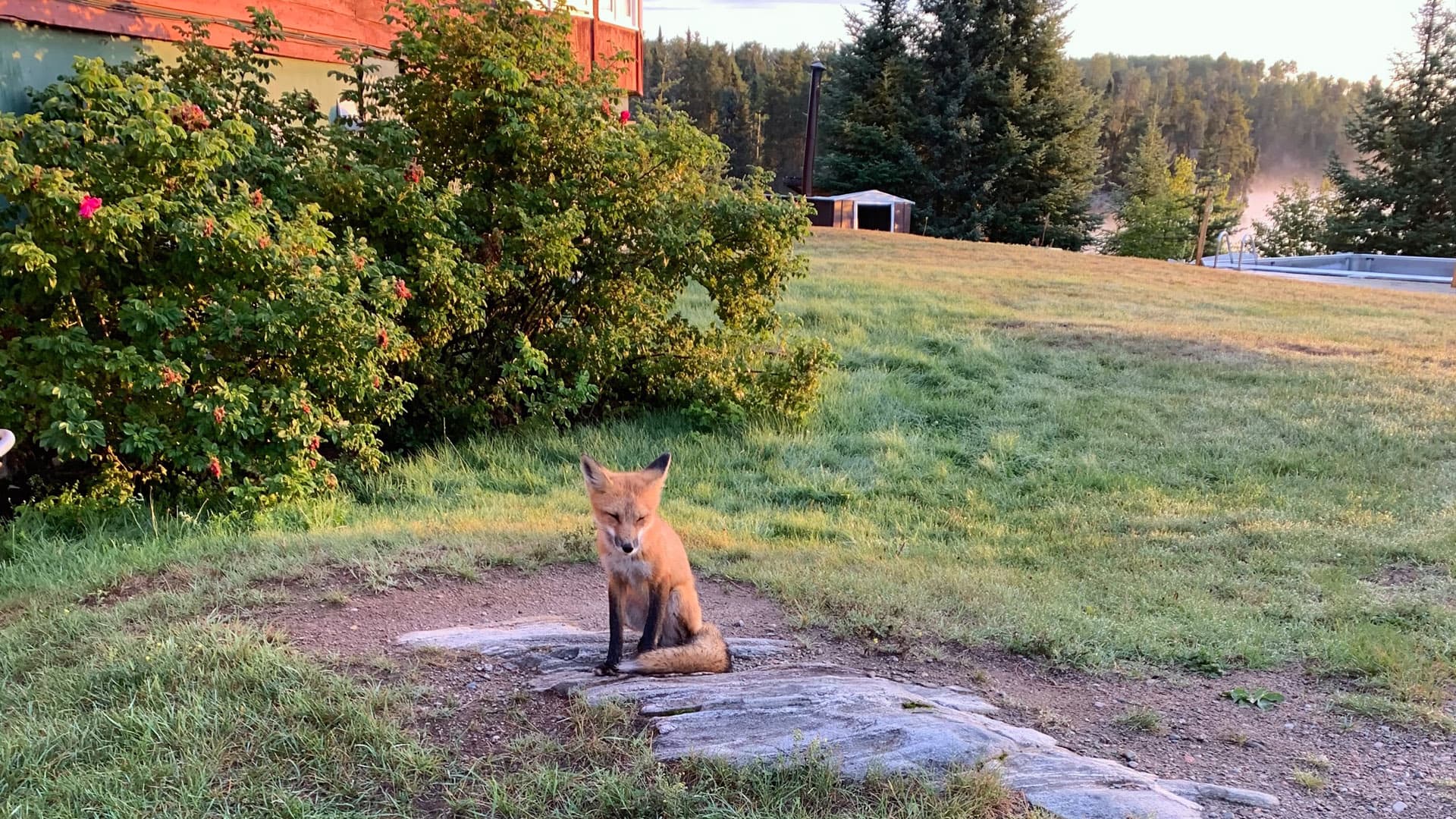 Chapleau Lodge lodge photo