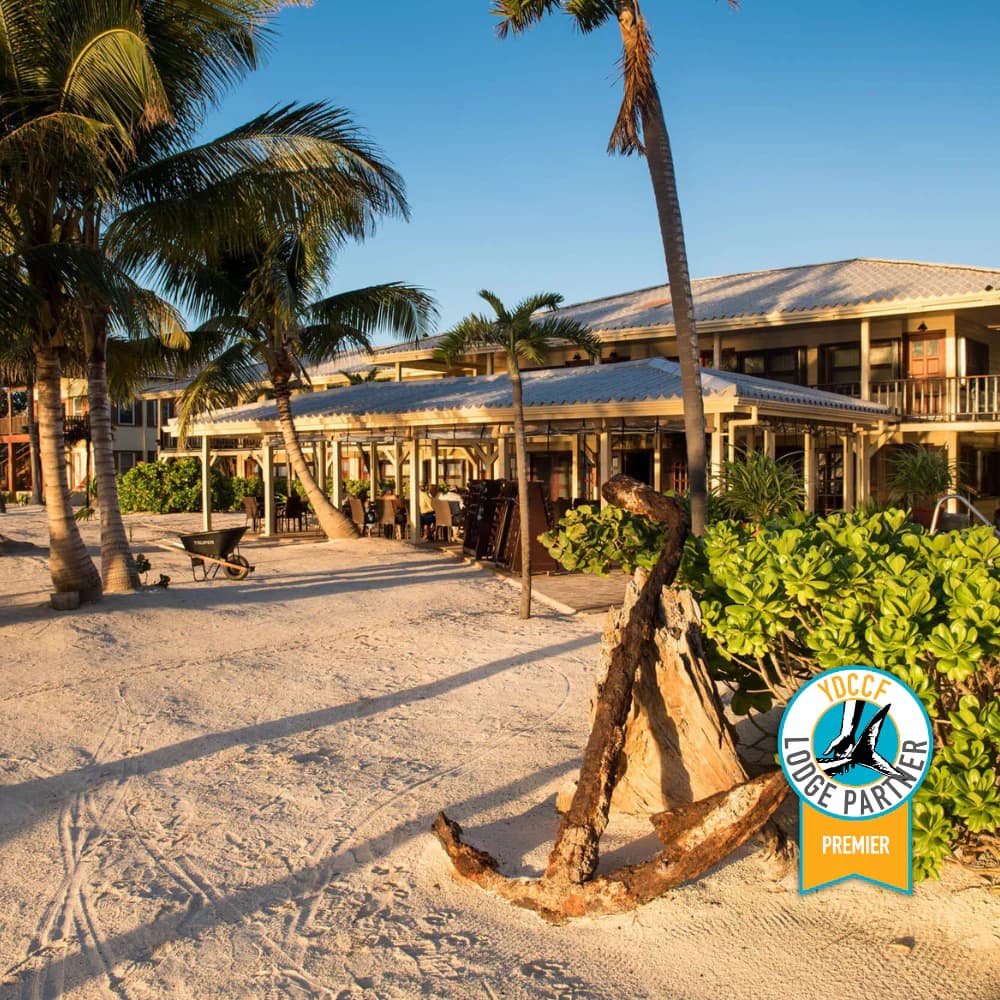 El Pescador Lodge and Villas lodge photo