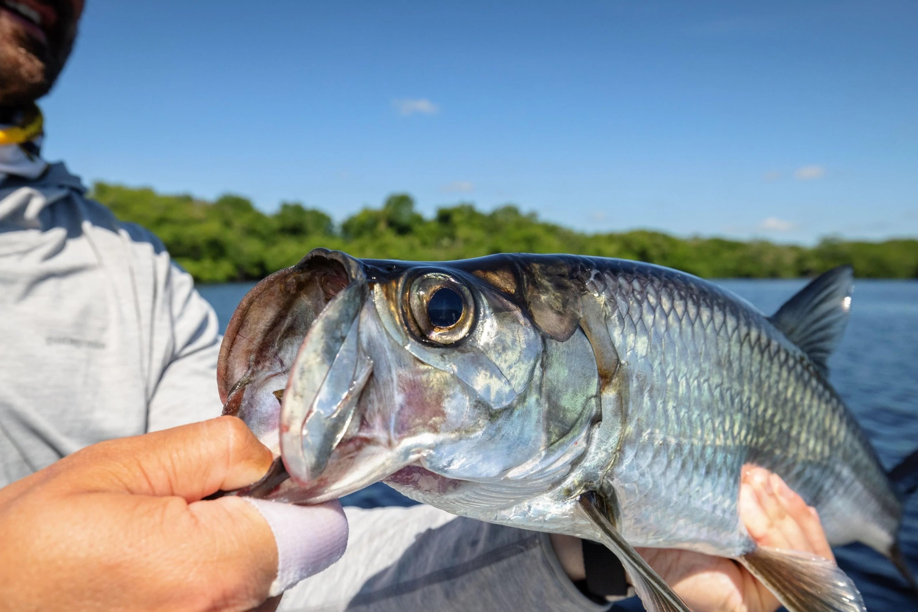 Fly Fishing Tabasco lodge photo