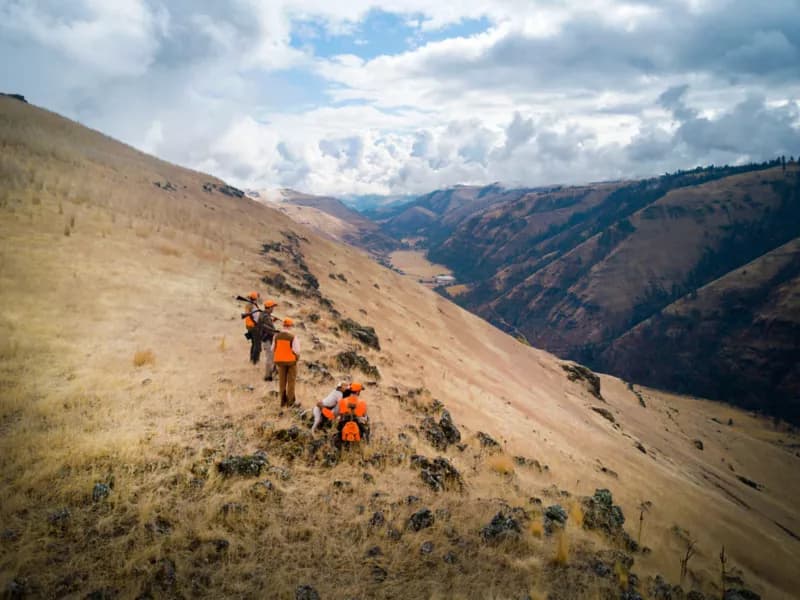 Flying B Ranch lodge photo