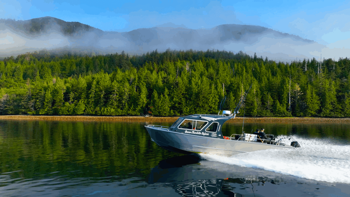 Haida Gwaii Safaris (formally Queen Charlotte Safaris) lodge photo