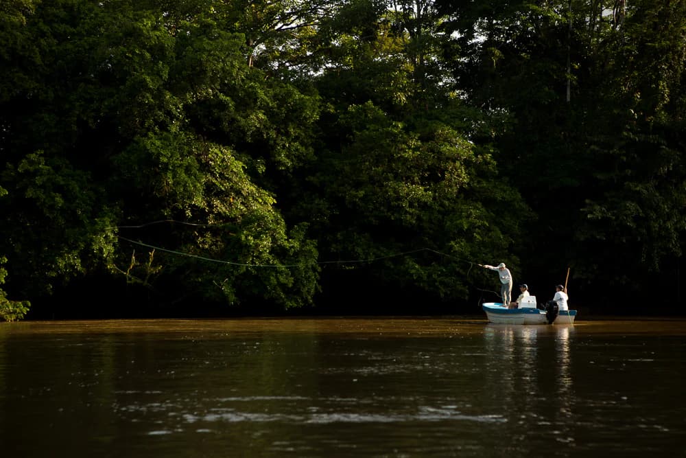 Jungle Tarpon Reserve lodge photo