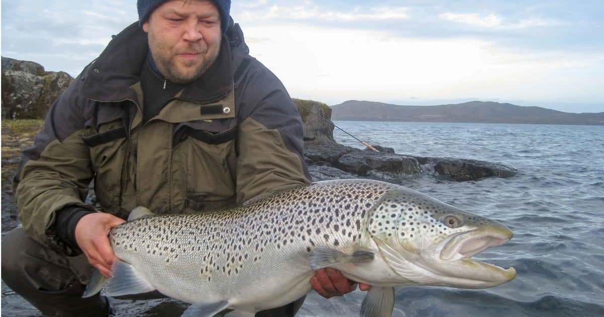 Lake Thingvallavatn lodge photo