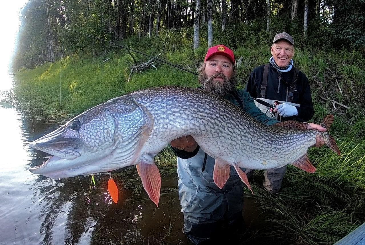 Midnight Sun Trophy Pike lodge photo