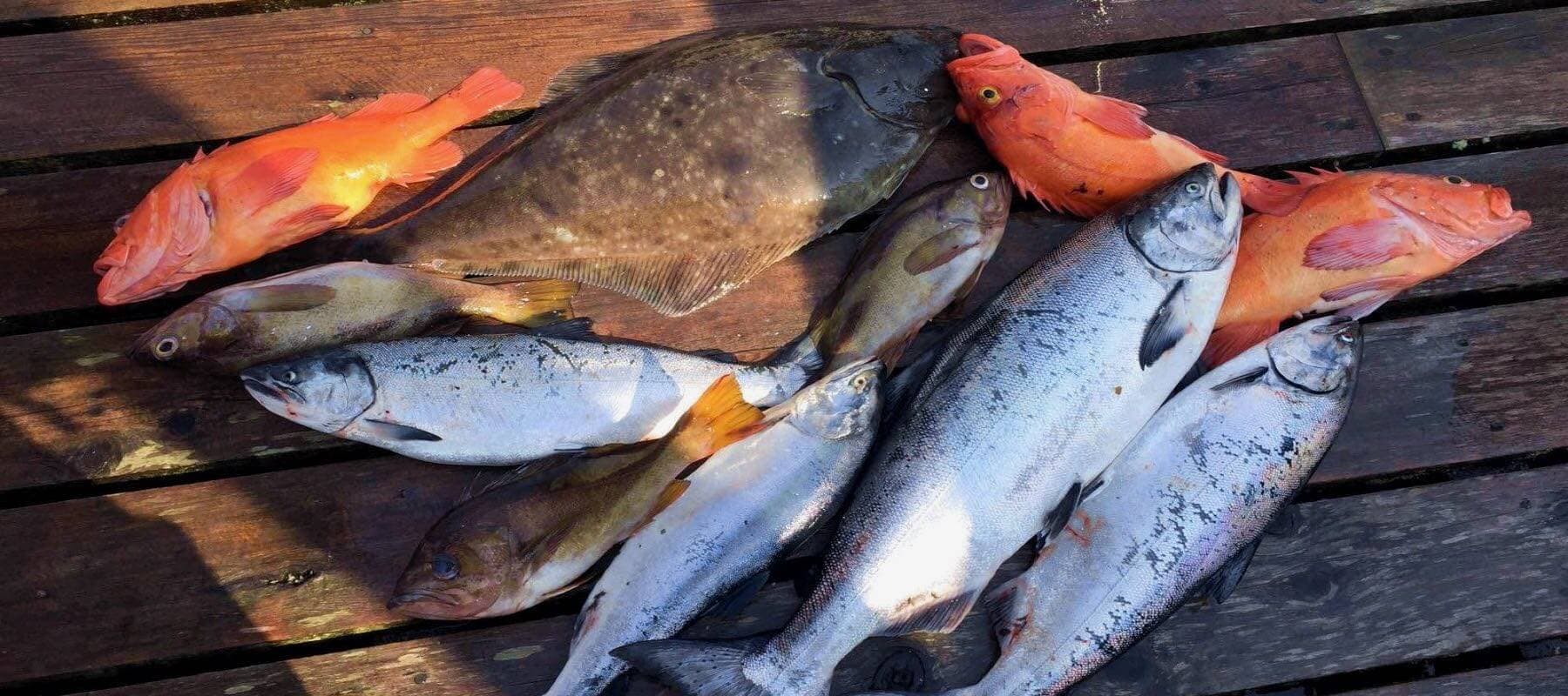 Reel Crazy Fishing Charters lodge photo