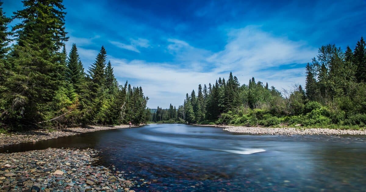 Salmon Lodge lodge photo