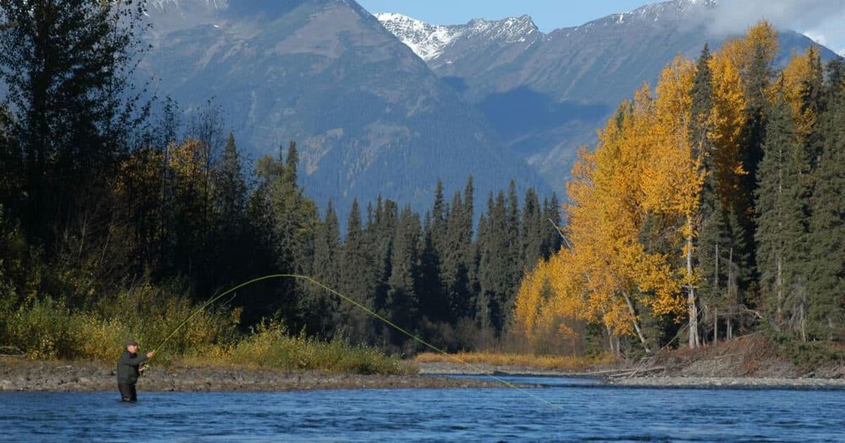 The Suskeena Lodge lodge photo