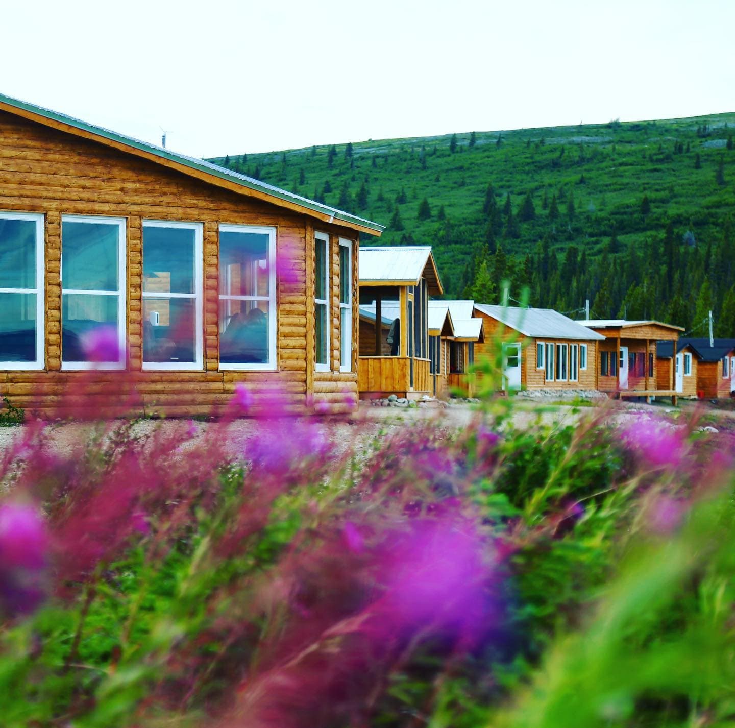 Wedge Hills Lodge lodge photo