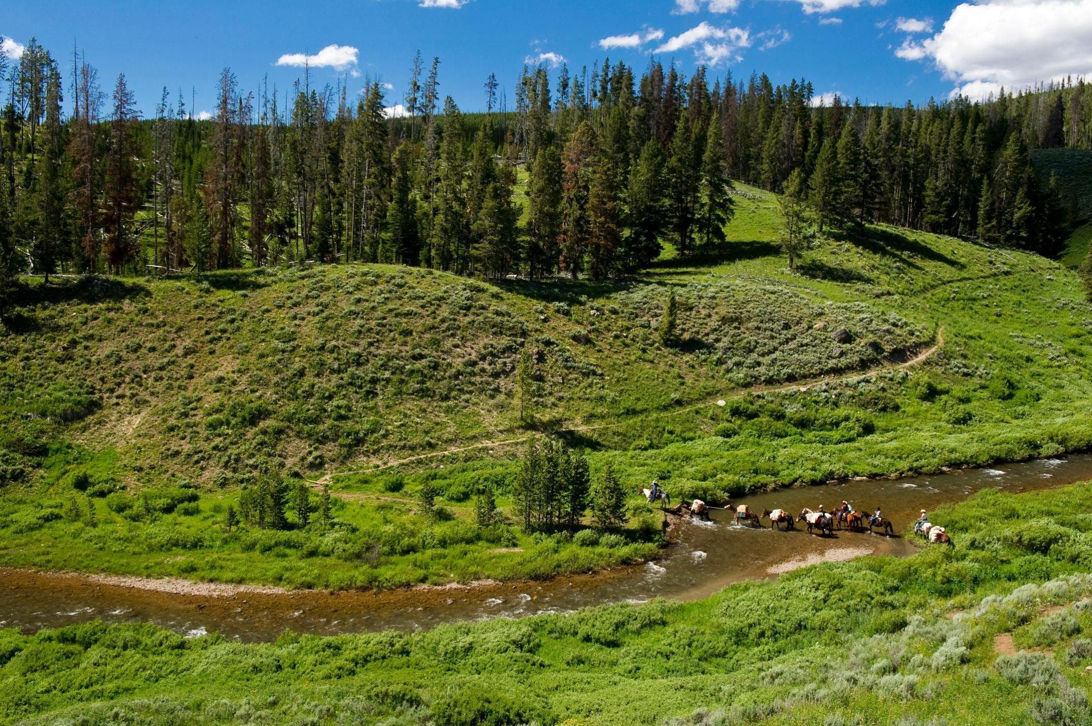 Yellowstone Backcountry Fishing Trips lodge photo